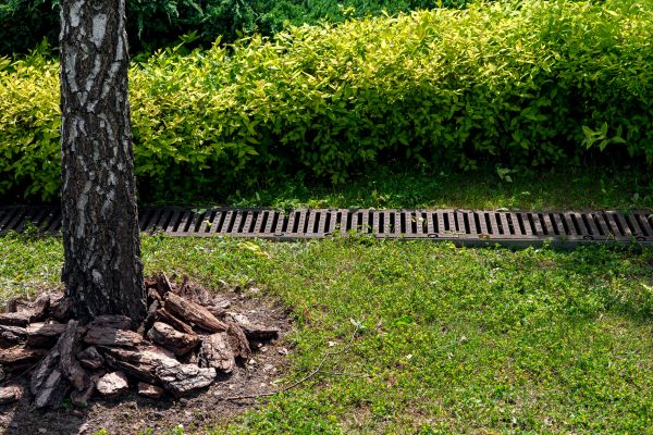 Cost of Wet Yard Drainage in Marysville